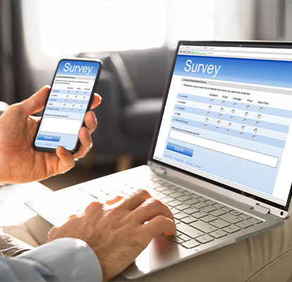 Online Surveys (CAWI)